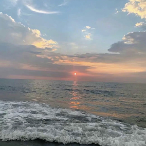 日本人与禽ZOZZO
