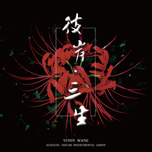 日本人与禽ZOZZO
